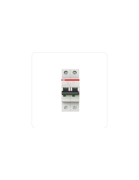 Disjoncteur S202 2 Pôles 3A Courbe Z Raccordement à vis 10KA (2 Modules) 2CDS252001R0318 ABB 353206