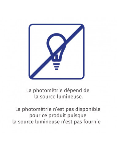 Axiome T1 E27 SSL AV noir L'EBENOID 073200