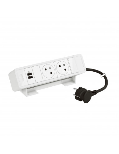 Bloc Bureau 2x2P+T F/B + USB C+C 15W et cordon 2m fiche Blanc LEGRAND 655112WH