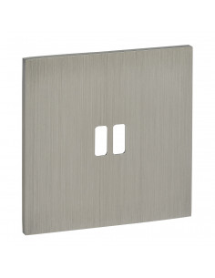 Plaque de finition Art d'Arnould 2 USB univers Epure Acier brossé LEGRAND ARP67422