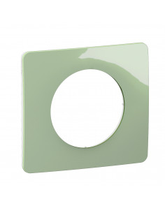 Plaque Céliane 1 poste Vert Céladon emballage GD LEGRAND CP0521