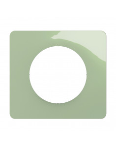 Plaque Céliane 1 poste Vert Céladon emballage GD LEGRAND CP0521 2