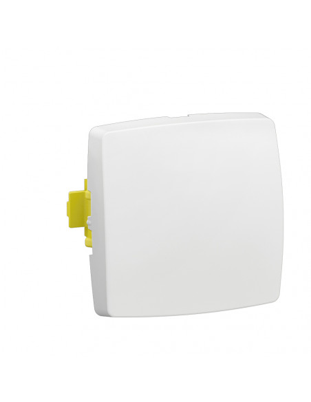 Interrupteur ou va-et-vient simple touche pour moulure Appareillage Saillie Composable Blanc LEGRAND ALC2210WH