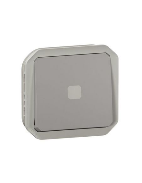 Interrupteur temporisé lumineux sans neutre étanche Plexo 230V 50Hz à 60Hz IP55 IK05 avec enjoliveur finition gris LEGRAND 06950