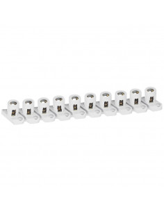 BORNE DE RAC 10 BORNES 2X10MM2 LEGRAND 098401