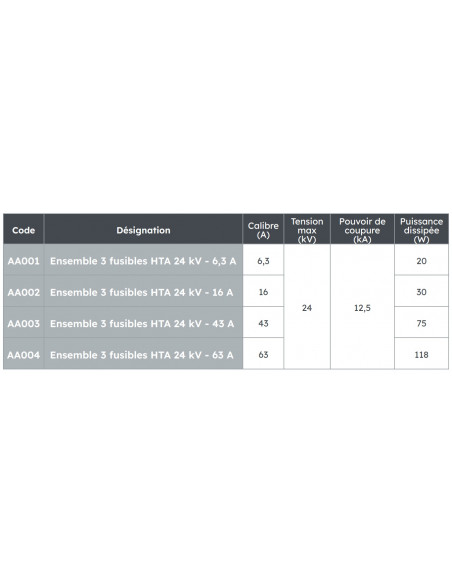 Ensemble de 3 fusibles HTA 24KV 6,3A MICHAUD AA001