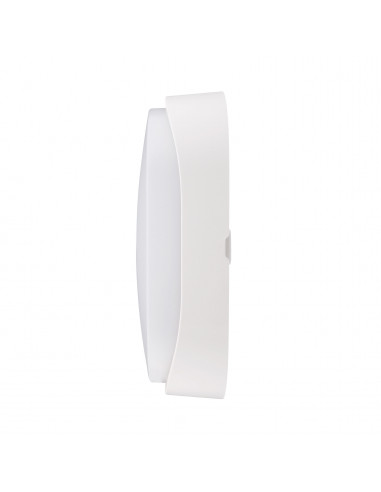 HLO-209 Hublot fonctionnel ovale CCT 3000/4000/5000K 8W 850lm 25000h 120° IP65 ARIC 51767
