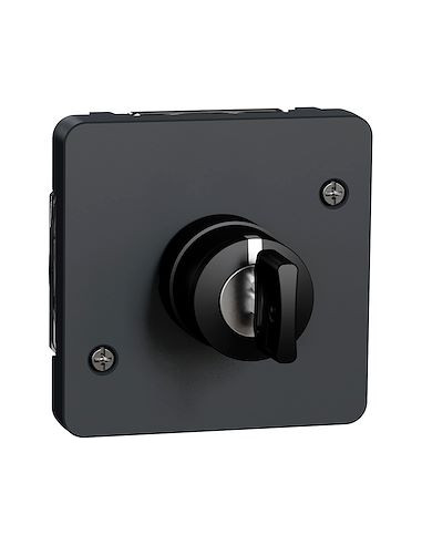 Mureva Styl Interrupteur à clé 3 positions composable IP55 IK08 gris SCHNEIDER MUR35061