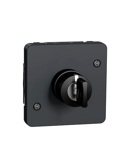 Mureva Styl Interrupteur à clé 3 positions composable IP55 IK08 gris SCHNEIDER MUR35061