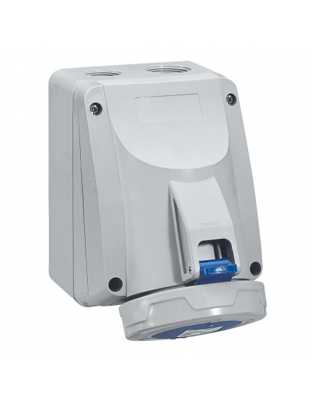 Prise saillie P17 IP66/67 32A 250V 2P+T LEGRAND 555454