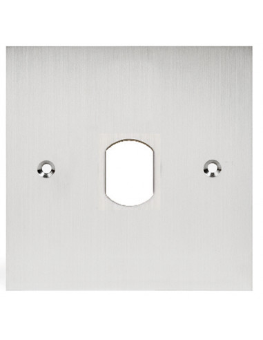 Façade inox percé au diamètre 25 mm pour lecteur vigik pour pot de 60 mm VIG60 AIPHONE 122015