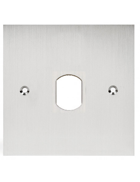 Façade inox percé au diamètre 25 mm pour lecteur vigik pour pot de 60 mm VIG60 AIPHONE 122015