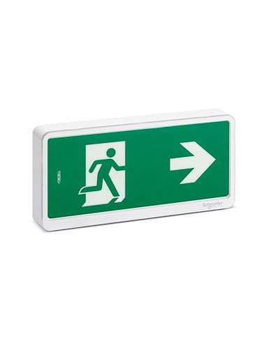 Exiway Light Bloc de secours Evacuation IP42 SATI SCHNEIDER OVA59110