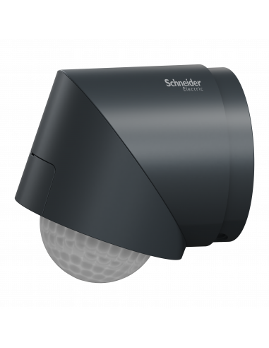 Wiser Detecteur de mouvement et luminosite exterieur anthracite SCHNEIDER CCT564114