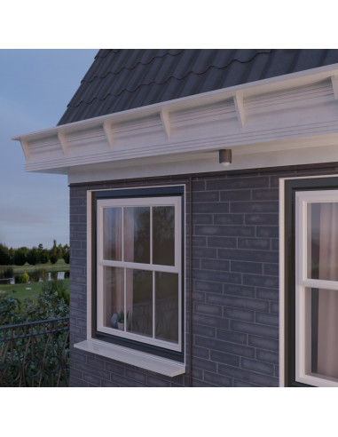 Wiser Detecteur de mouvement et luminosite exterieur anthracite SCHNEIDER CCT564114