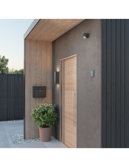 Wiser Detecteur de mouvement et luminosite exterieur anthracite SCHNEIDER CCT564114