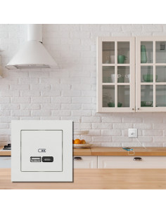 D-Life prise chargeur USB double C 45W + A 7,5W méca seul SCHNEIDER MEG4366-0120 2