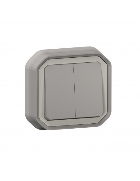 Plexo double interrupteur ou va-et-vient ou poussoir Gris encastré LEGRAND 070072L