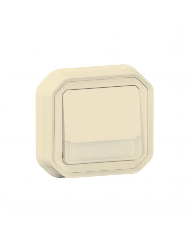 Plexo poussoir inverseur lumineux porte étiquette Beige encastré LEGRAND 070074L