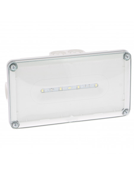 Luminaire sur source centralisée d'évacuation saillie à LEDs 45lm IP66 IK10 plastique tension 24V continu LEGRAND 062816