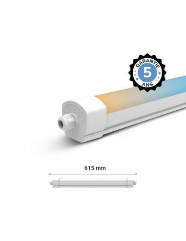 DANUBE CCT II ETANCHE LED INT 615MM 15W 3CCT IP65 IK10 TRA 5A (X6) MIIDEX LIGHTING 101079