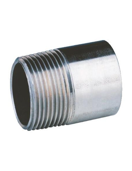 Embout Inox à visser M 1''1 4 L 50mm 101516914