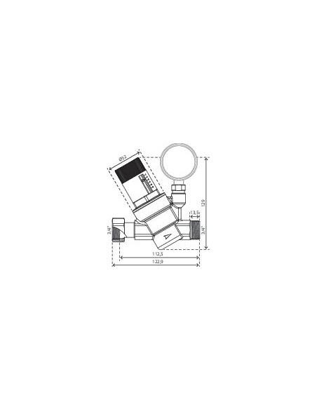 Régulateur de pression à membrane mâle écrou tournant 20/27 avec manomètre PRONORM 104010218