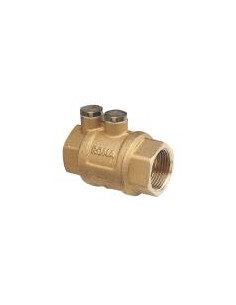 CLAPET ANTIPOLLUTION 1"1 2 110-40