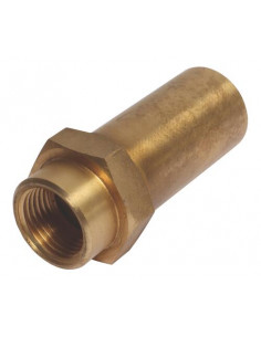 Clapet anti-bélier laiton à ressort 1 2" 1869-15
