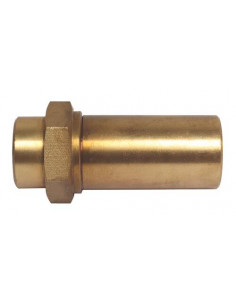 Clapet anti-bélier laiton à ressort 1 2" 1869-15 2