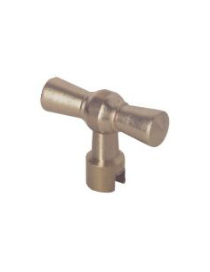 CLE P TETE CACHE ENTREE1" 207-26