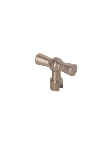 CLE P TETE CACHE ENTREE1" 207-26