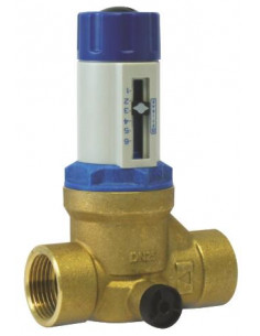 Régulateur de pression à cartouche double femelle DN25 3192-25