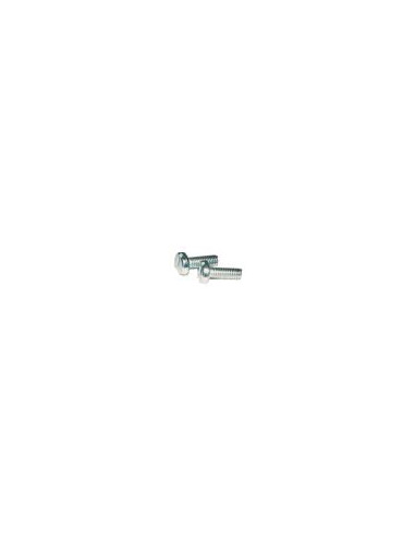 VIS ACIER ZINGUE TETE FENDUE M4-10MM 5304-505
