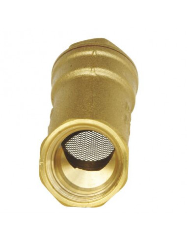 Filtre laiton à tamis acier inox 3 4" 636-20