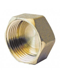 Bouchon obturateur F1 2" 860-15