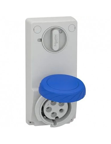 Prise verrouillable PratiKa 32 A 2P+T 200-250 V CA IP65 sur panneau SCHNEIDER 82092