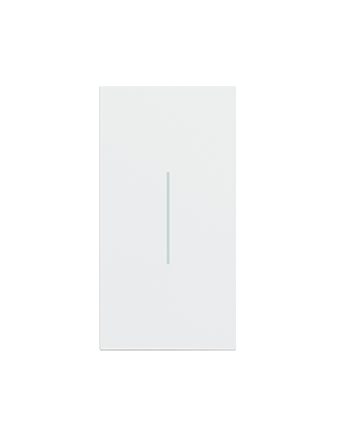 Enjoliveur Living Now 2 modules commande éclairage blanc BTICINO BTKW01M2