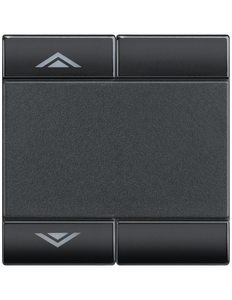 Manette Livinglight MyHOME BUS symbole montée/descente 2 modules anthracite BTICINO L4911M2AHN