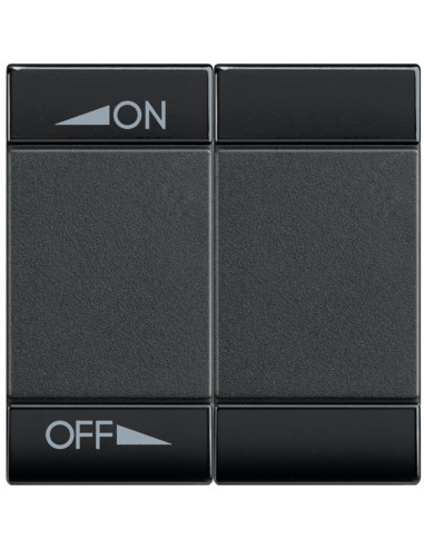 Manette Livinglight MyHOME BUS diff sonore variation 2 mod anthracite BTICINO L4911M2AIN