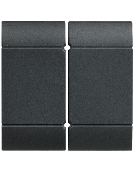 Manette Livinglight pour détecteur d'inondation anthracite BTICINO L4919