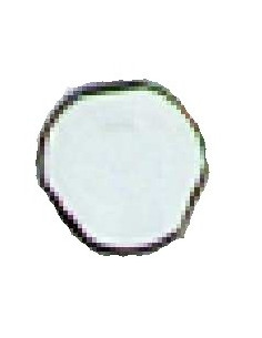 VIS ANTI VANDALE M5X25 URMET M5/25