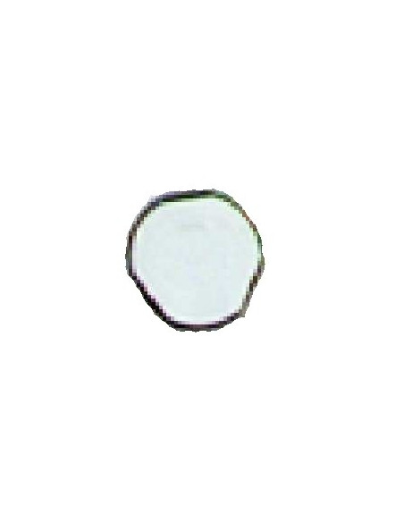 VIS ANTI VANDALE M5X25 URMET M5/25