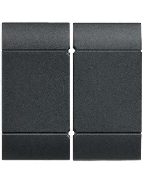Manette Livinglight pour détecteur d'inondation anthracite BTICINO L4919