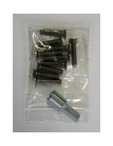 10 VIS M5/25 + 1 EMBOUT URMET 500272