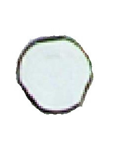 VIS ANTI VANDALE M5X25 URMET M5/25 2