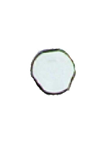 VIS ANTIVANDALE M5X25 URMET M5/25