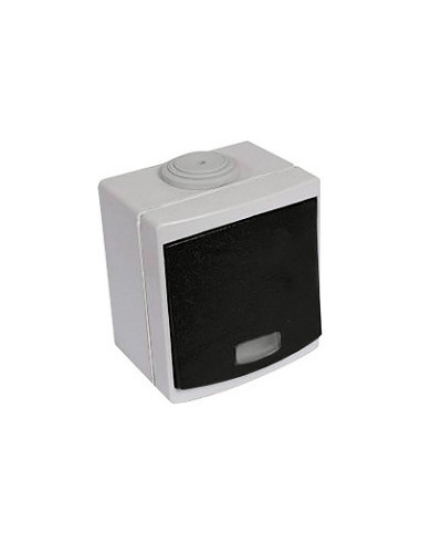 Va/Vient lumineux IP55 gris EUR'OHM 60701