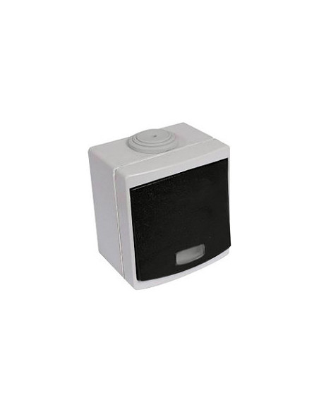Va/Vient lumineux IP55 gris EUR'OHM 60701