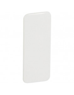 Plaque obturation pour Jupiter encastré droit 2 postes blanc LEGRAND 081074